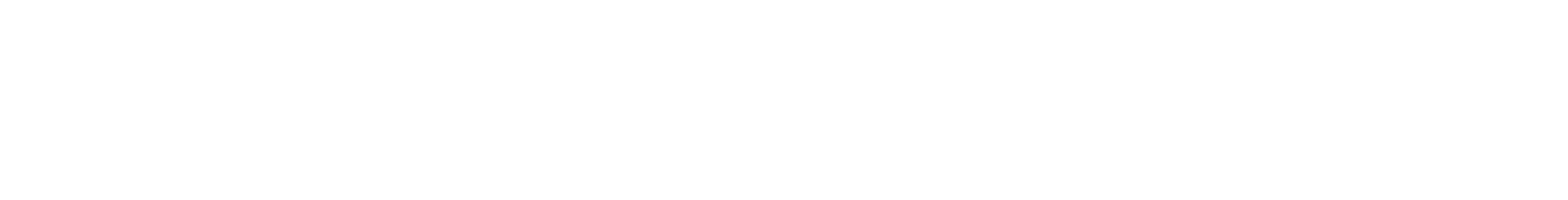 Param Softwares